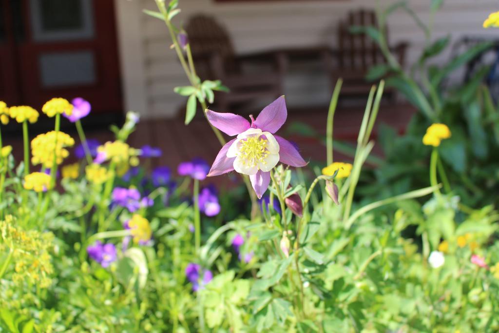 Villa Cristiana Guesthaus Crested Butte Exterior foto